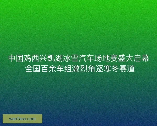 中国鸡西兴凯湖冰雪汽车场地赛盛大启幕 全国百余车组激烈角逐寒冬赛道